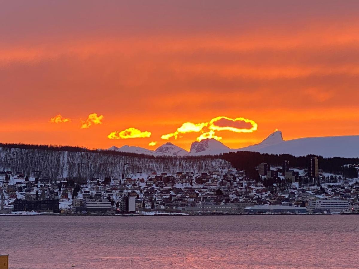 Polar Arctic View - Free Parking! Appartement Tromsø Buitenkant foto