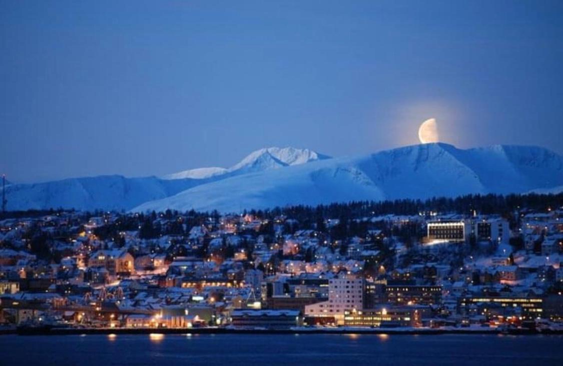 Polar Arctic View - Free Parking! Appartement Tromsø Buitenkant foto